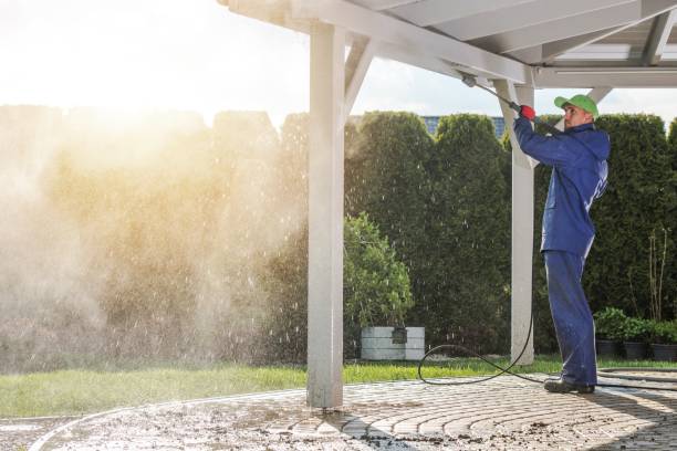 Best Roof Washing  in Gordo, AL